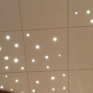 Meet your Posher, Daniela